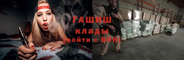 прущие грибы Новокубанск
