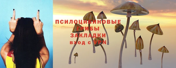 ГАЛЛЮЦИНОГЕННЫЕ ГРИБЫ Навашино