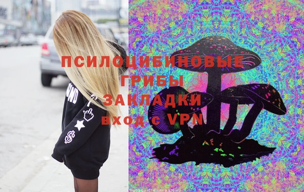 шишки Горняк