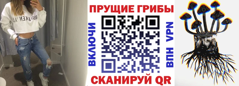 хочу   Заинск  Псилоцибиновые грибы MAGIC MUSHROOMS 