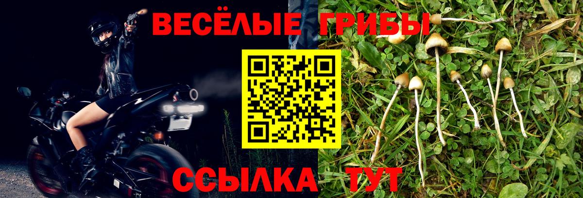 Галлюциногенные грибы мицелий  Галлюциногенные грибы Psilocybe  Вход с VPN  Заинск 