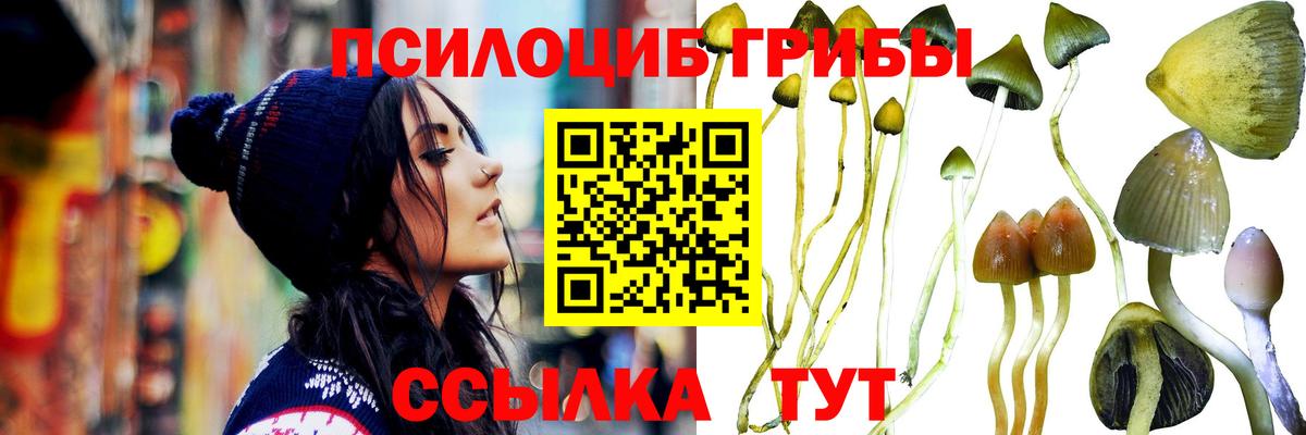 Псилоцибиновые грибы мухоморы Заинск